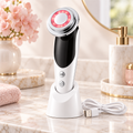 7-in-1 Facial Care Device – EMS, LED Light, Warmth and Vibration in One Tool